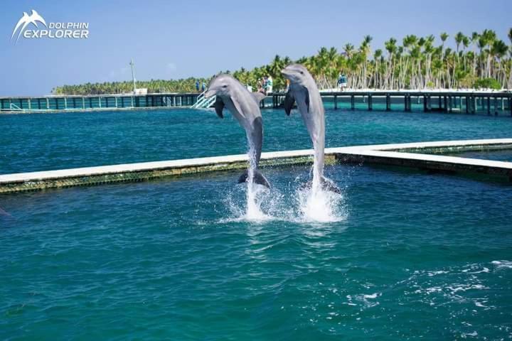 Caribbean And Sun Punta Cana Dış mekan fotoğraf